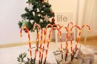 60 LED Candy Cane - WINFAR INC
