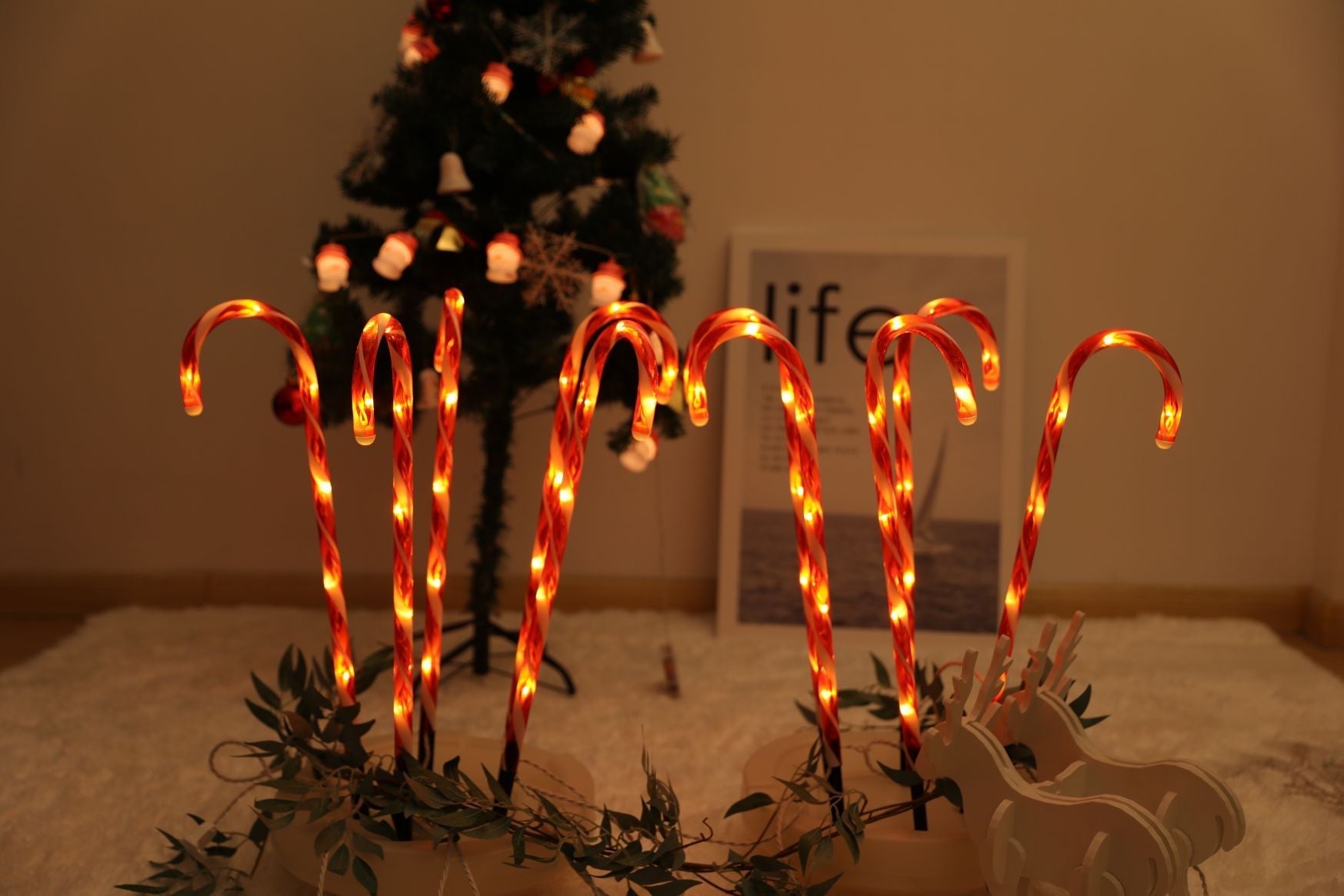 60 LED Candy Cane - WINFAR INC