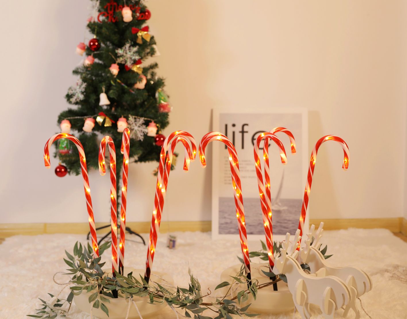 60 LED Candy Cane - WINFAR INC