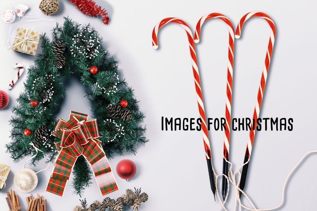 60 LED Candy Cane - WINFAR INC